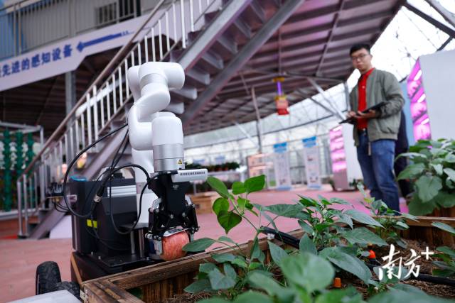“智慧小院”内部场景。 “智慧小院”内部场景。