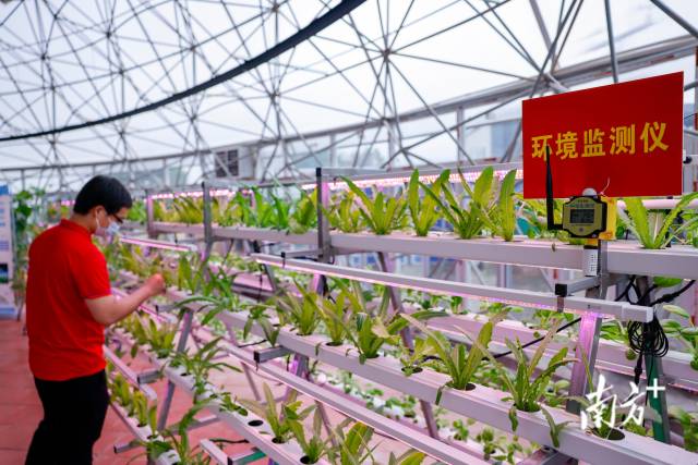 “智慧小院”内部场景。 “智慧小院”内部场景。